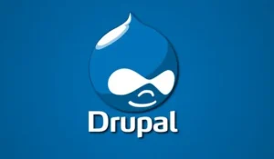 Choosing the Right CMS: Drupal